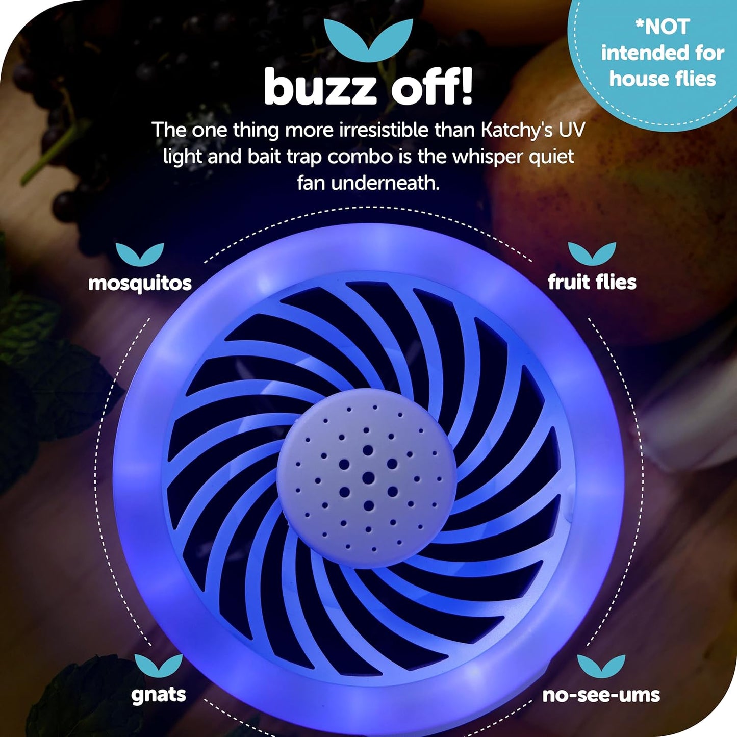 Katchy Indoor Insect Trap - Catcher & Killer for Mosquitos, Gnats, Moths, Fruit Flies - Non-Zapper Traps for Inside Your Home - Catch Insects Indoors with Suction, Bug Light & Sticky Glue (Black)